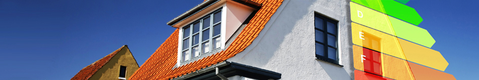 Banner - Thomas Nitschke