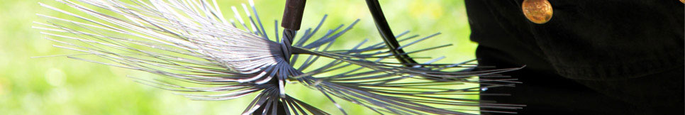 Banner - Thomas Nitschke